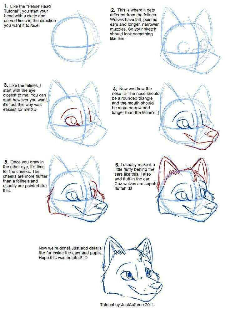 Help Full Drawing Tips To Help Improve Your Furry Wiki Furry Amino