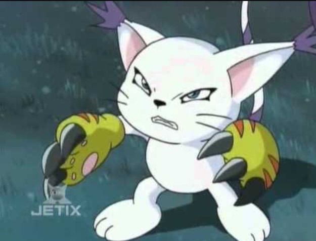 Gatomon And Black Gatomon | Digimon Amino