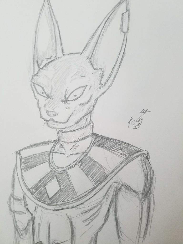 Beerus Rough Sketch | Anime Amino