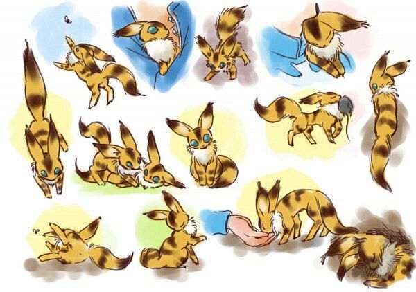 fox squirrel studio ghibli