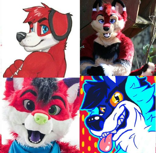 Furry YouTubers | Wiki | Furry Amino