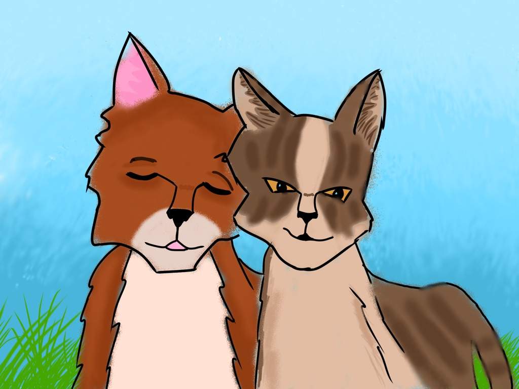 Leafstar And Billystorm Warriors Amino