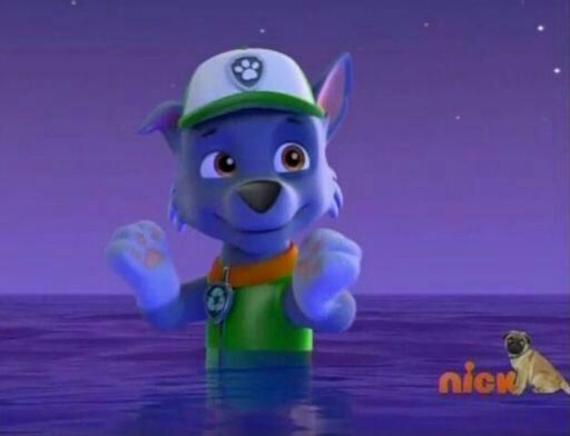 paw patrol zuma merpup