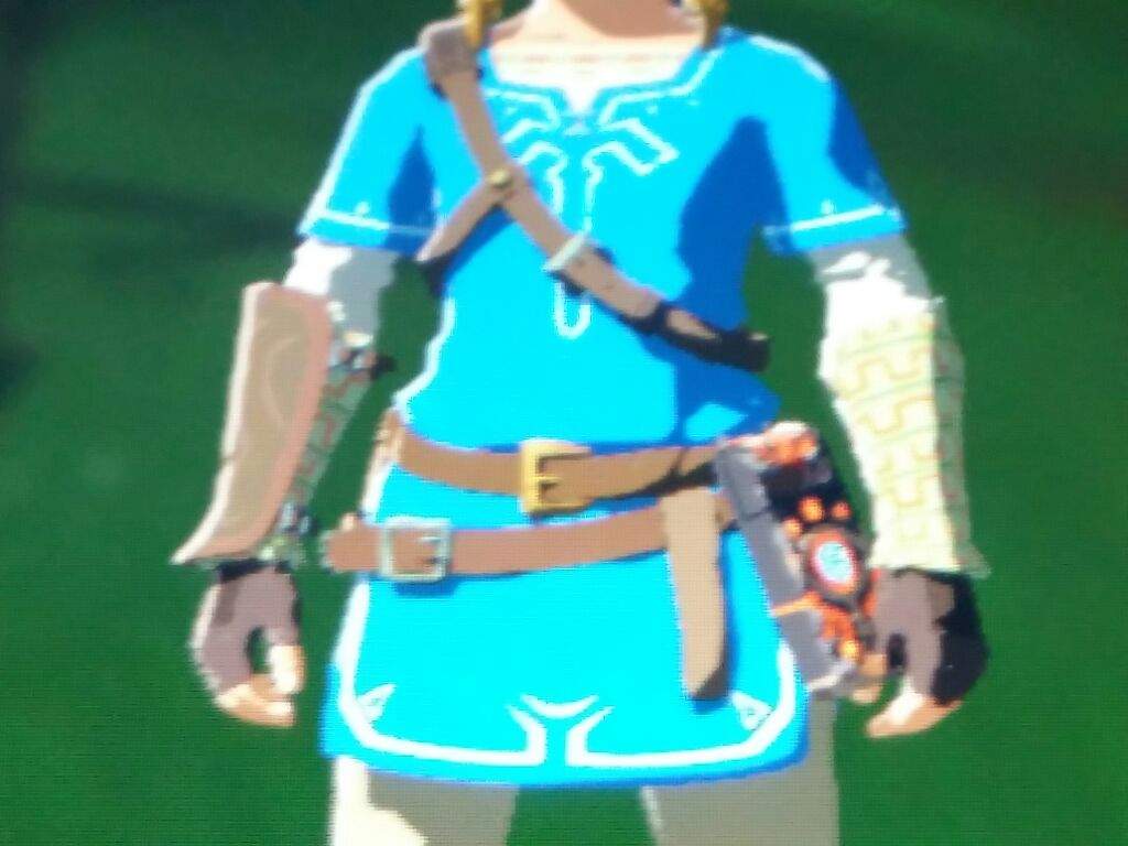 link in champion's tunic