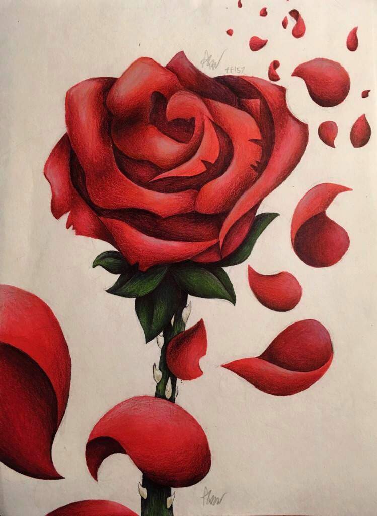 Rose Petals Scatter My Art Rwby Amino