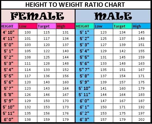 Realistic Height And Weight Chart
