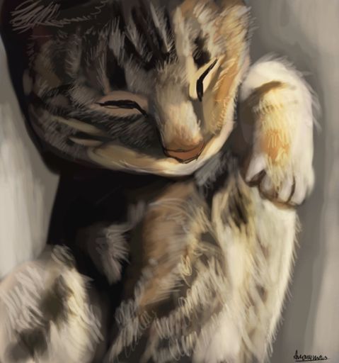 Semi-realism | Warrior Cats Amino Amino