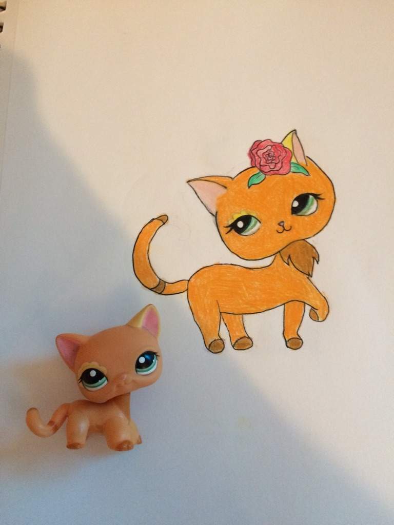 How To Draw A Lps Cat Step By Step - alter playground