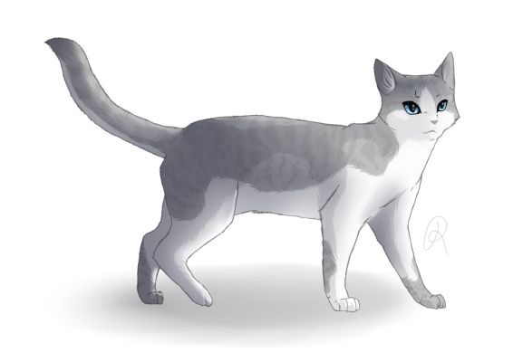 What Warrior Cat Should I Draw? | Warriors Amino