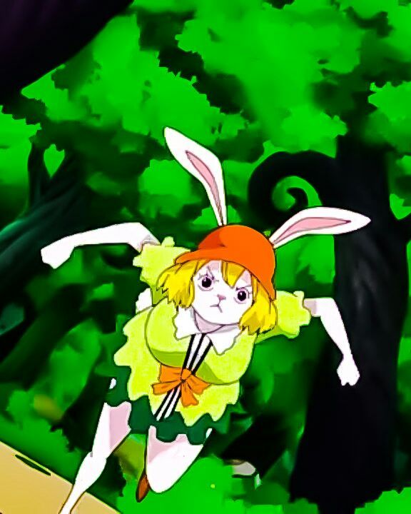 Nami And Carrot | Anime Amino