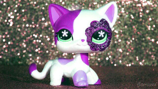 lps shorthair cat 2291