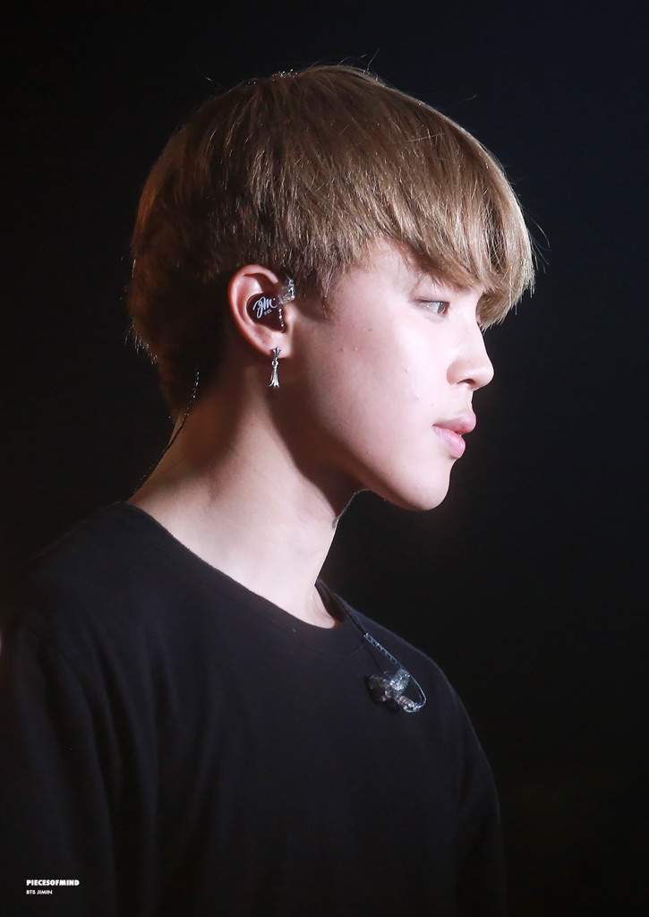 BTS's Customized InEar Monitor ARMY's Amino