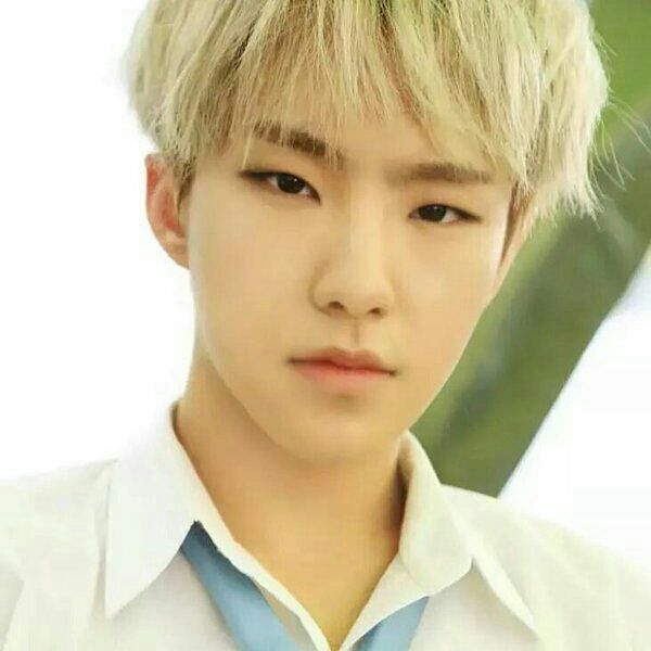 Hoshi Birthday / Happy Birthday To Seventeen's Hoshi! :: Daily K Pop