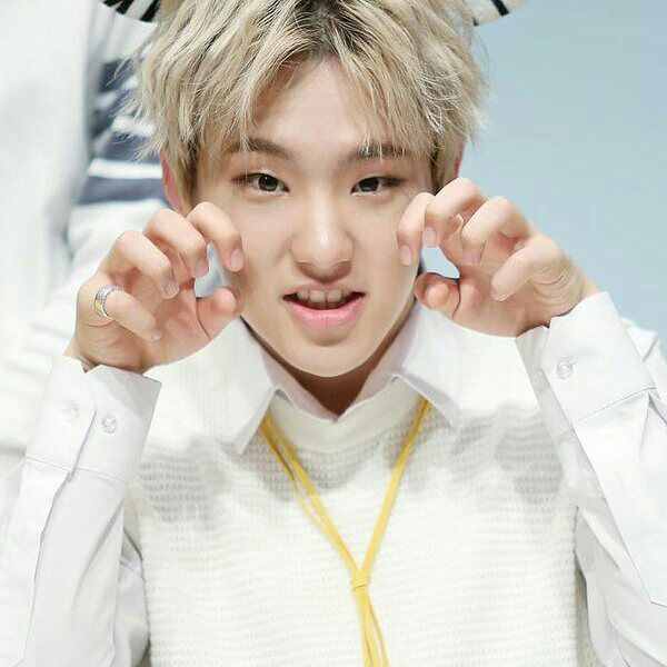 Seventeen hoshi birthday ♡♡♡ | K-Pop Amino