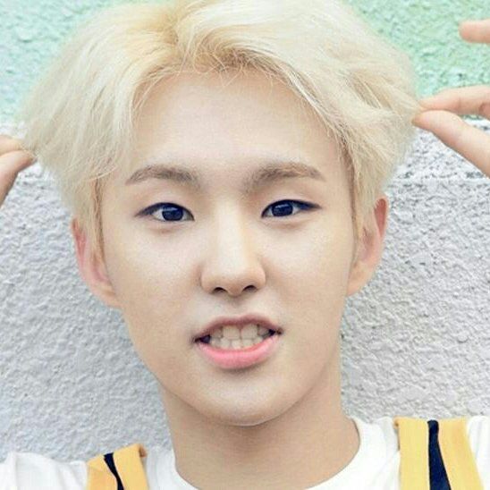 Seventeen hoshi birthday ♡♡♡ | K-Pop Amino