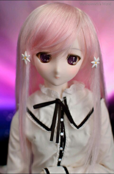 dollfie dream hatsune miku mercadolibre