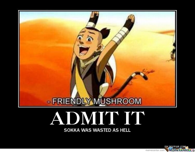 Le Sokka Memes (finally) 