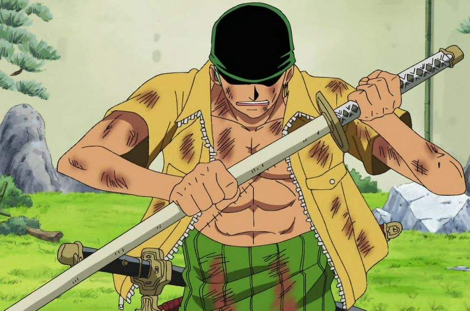 Roronoa zoro | Wiki | Anime Amino