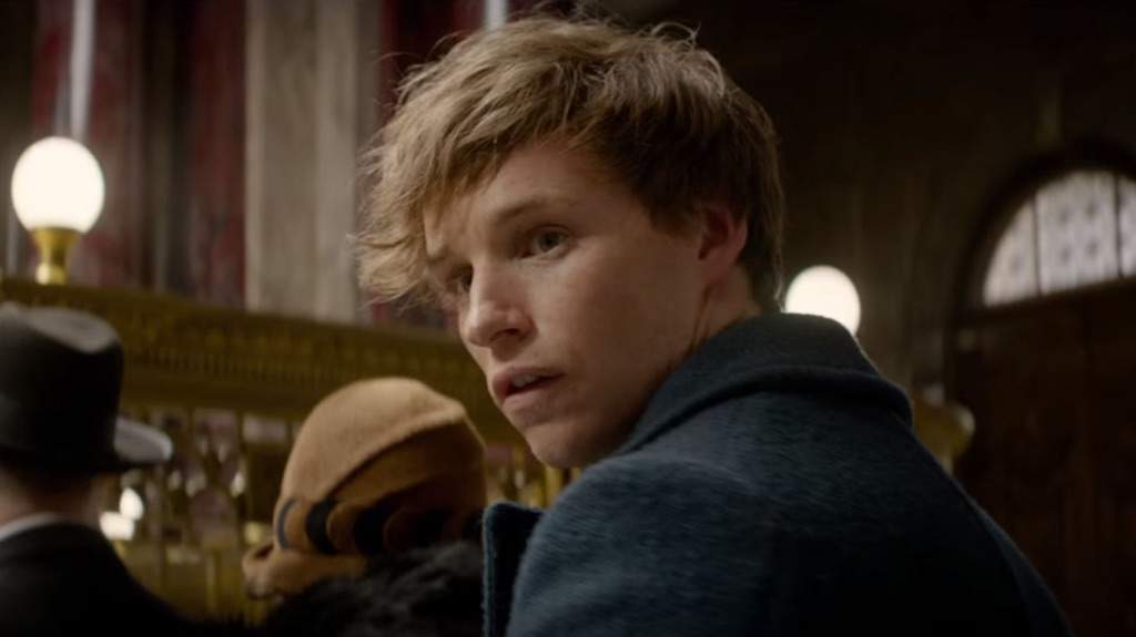 Newt Scamander Wiki Harry Potter Amino