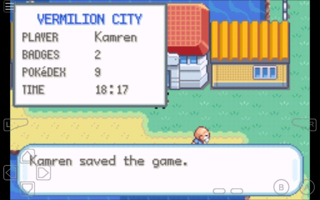 how do i make moemon platinum randomizer nuzlocke