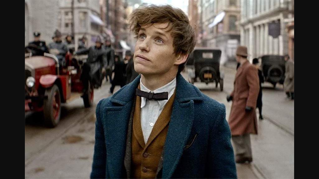 Newt Scamander Wiki Harry Potter Amino
