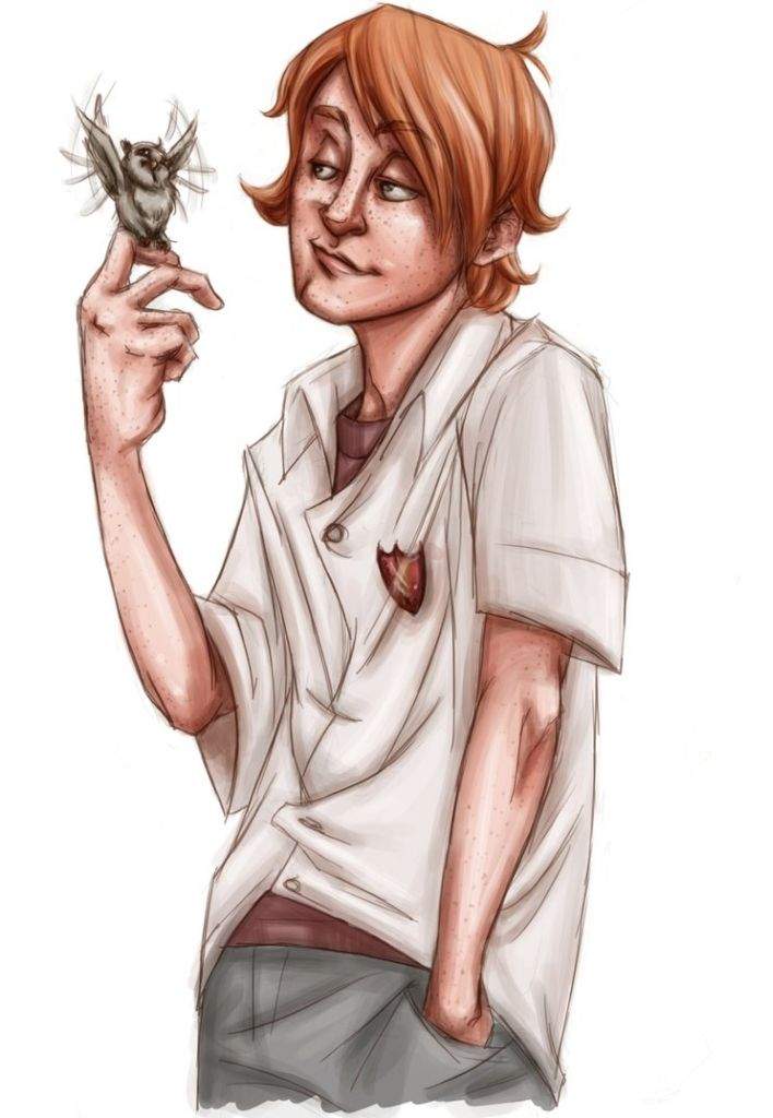 💛ron Weasley Fan Art💛 Harry Potter Amino