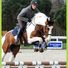 amino-Horse Stride-acc78e8f