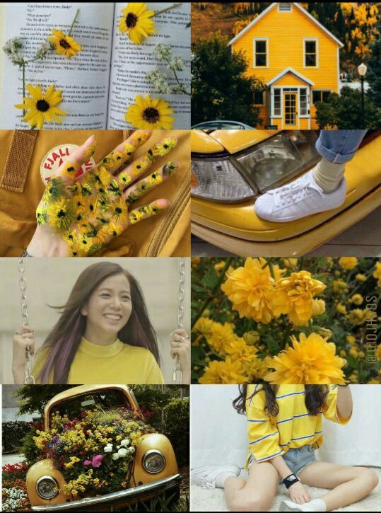 Jisoo Yellow Moodboard | Kim Jisoo Amino