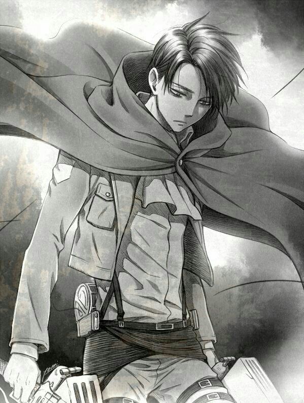 💥Levi Ackerman💥 | •Shingeki No Kyojin [es]• Amino