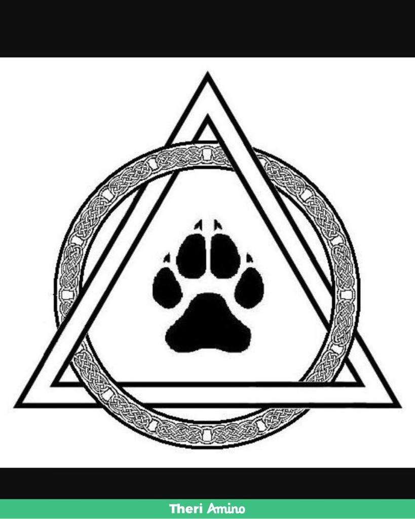 Full Shifting Guide Wiki 𖣘Therian • Amino𖣘 Amino