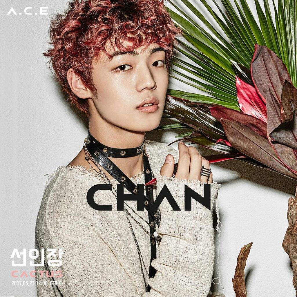 kang yoochan wiki a c e amino kang yoochan wiki a c e amino