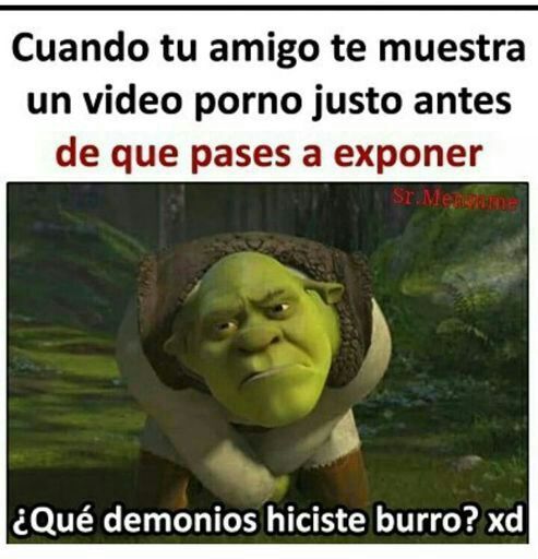 Momos que pedi prestados :v | •Meme• Amino