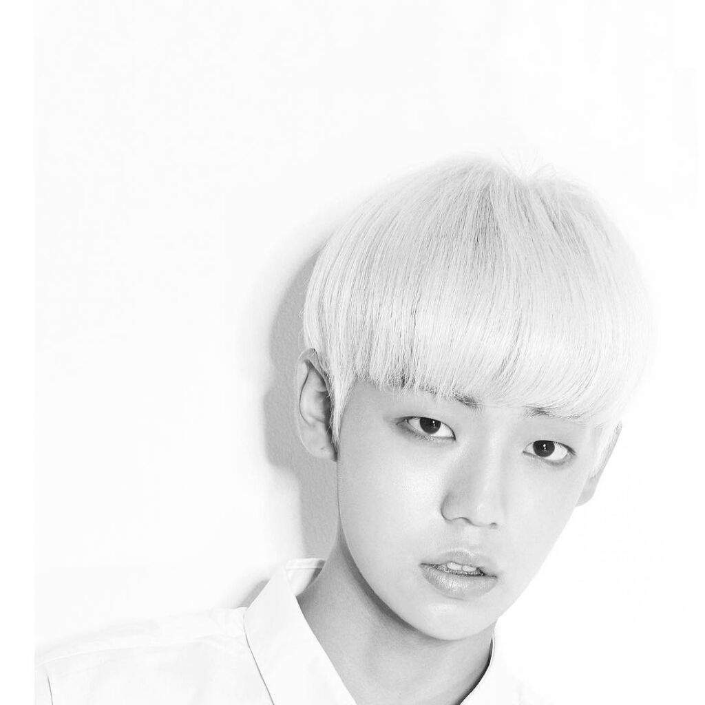 kang yoochan wiki a c e amino kang yoochan wiki a c e amino