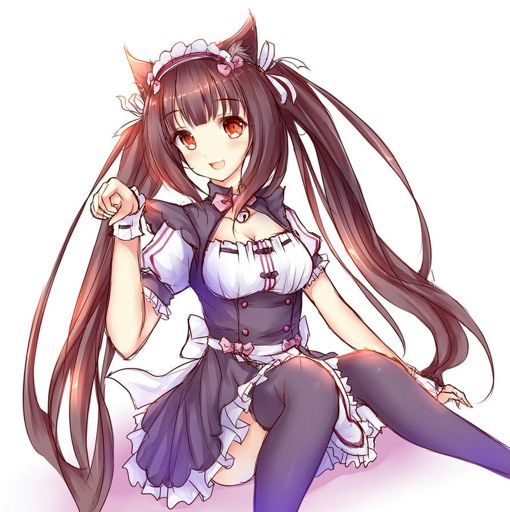 Chocola can't sleep | Neko Amino