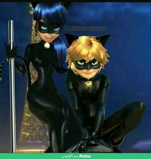 صور ميراكلس Miraculous Ladybug Arabic Amino 