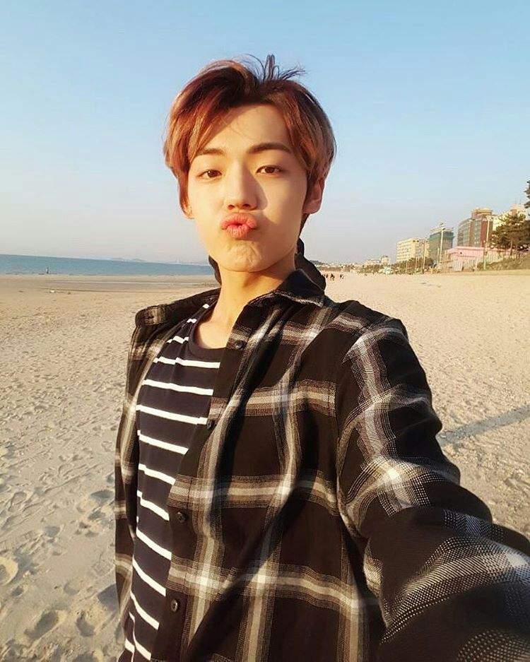 kang yoochan wiki a c e amino kang yoochan wiki a c e amino