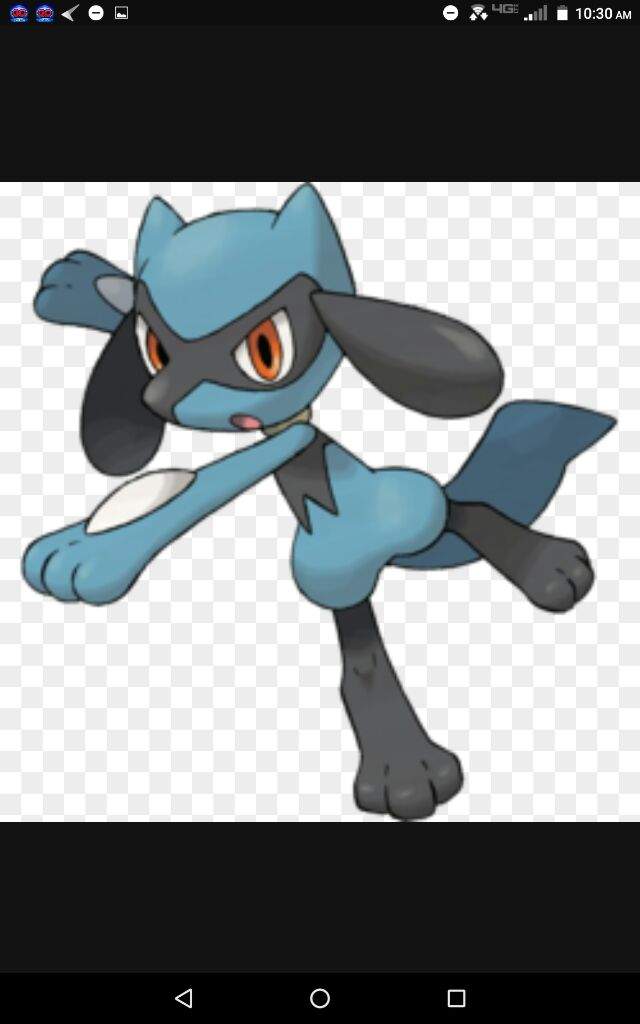 Riolu is 2 feet and four inches tall and it weighs 44.5 pounds. 