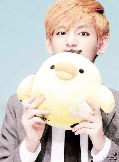 bts stuffed animals v