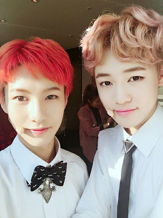 My top 5 ship nct dream ver. | NCT (엔시티) Amino