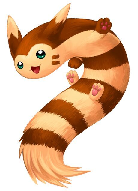 furret pokemon size