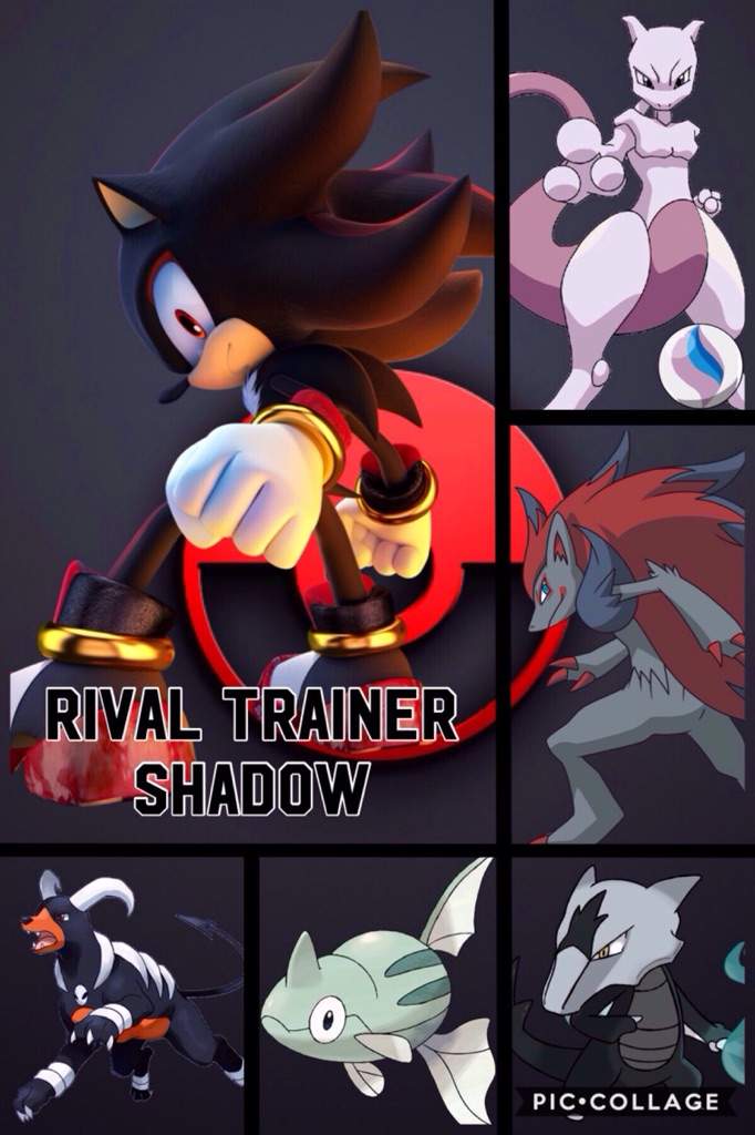 shadow the hedgehog and pokemon