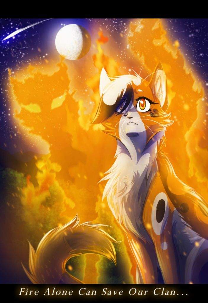 Bloodbird | Wiki | The Warrior Cats Amino Amino