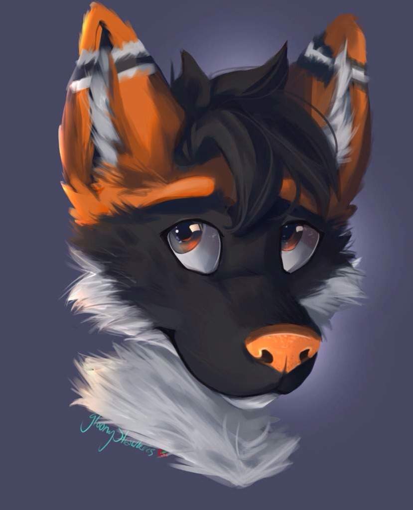 Mustang Wolf | Wiki | Furry Amino