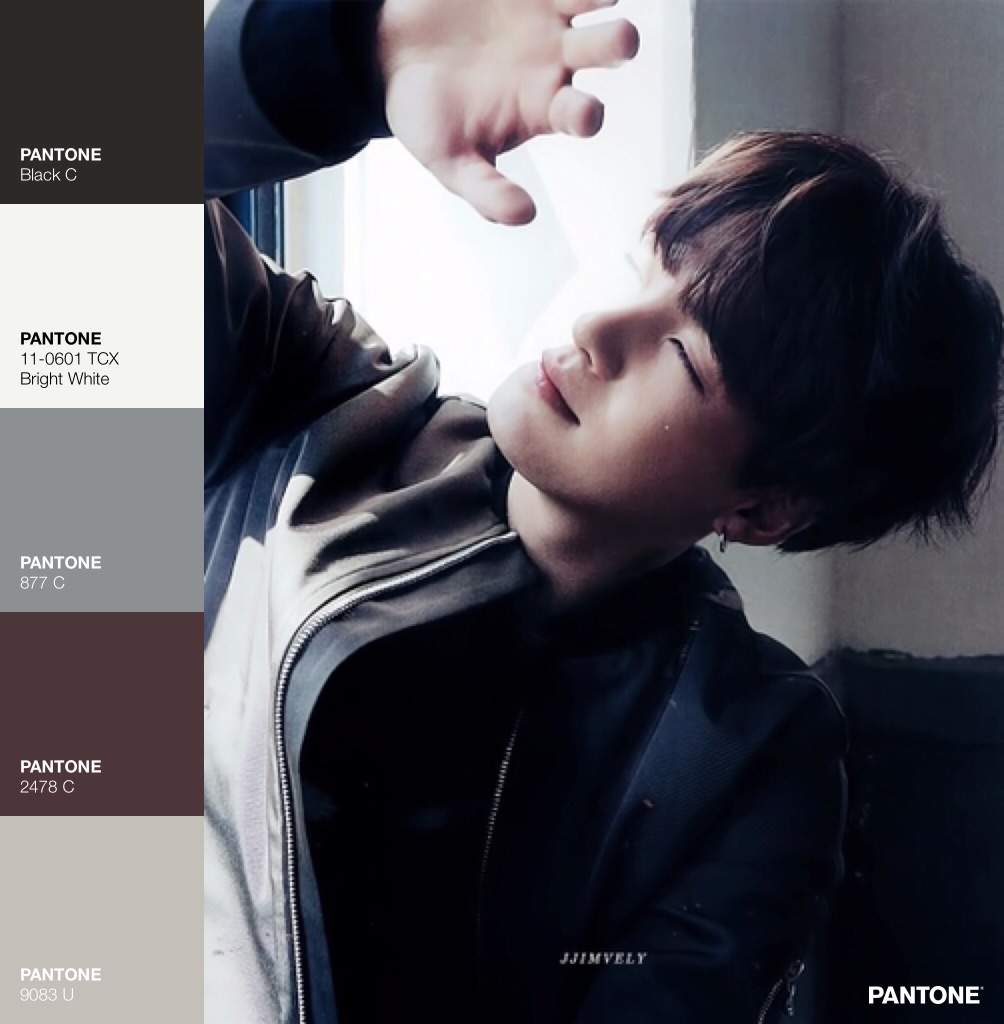 Bts Pantone Edits Army S Amino