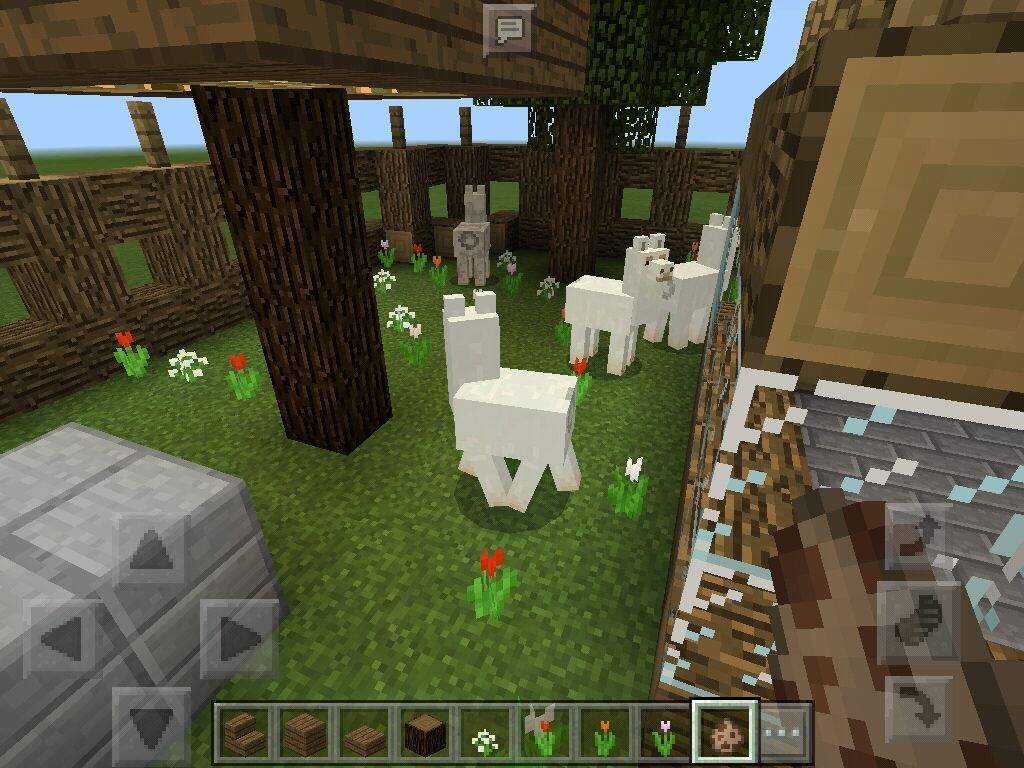 Llama enclosure! Ft. Rosie, jack, crillian and ash