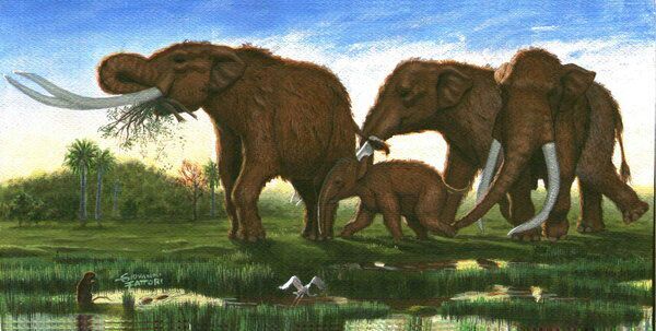 informacion sobre el mastodonte