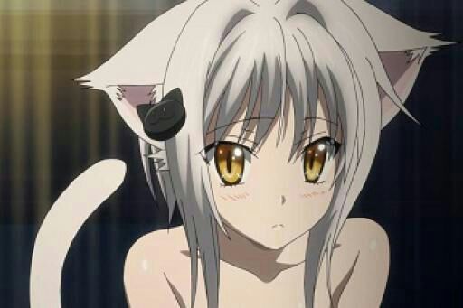 neko koneko plush