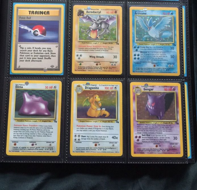 Complete Fossil Set Pokémon Amino