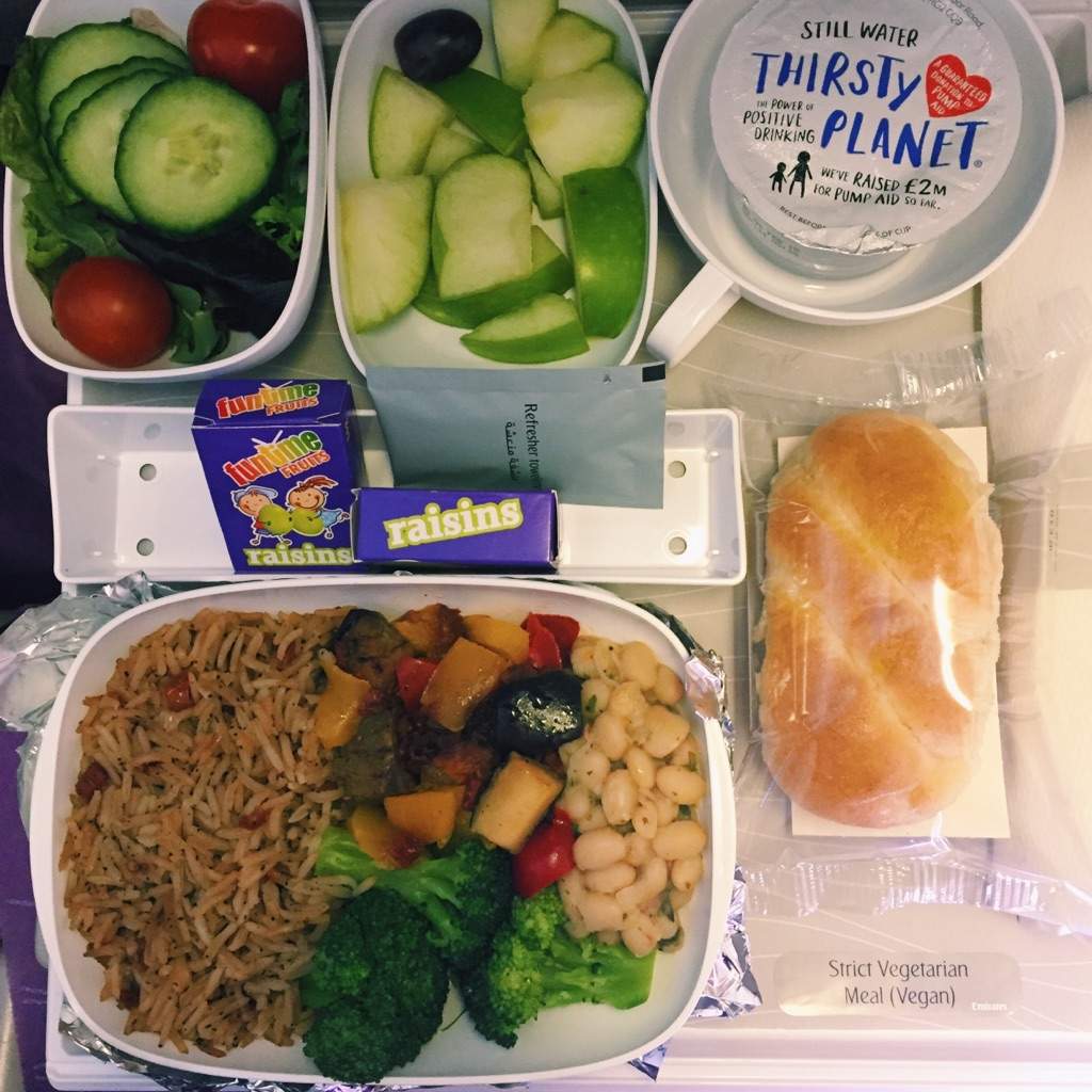  Emirates Vegan Meals Vegan Amino