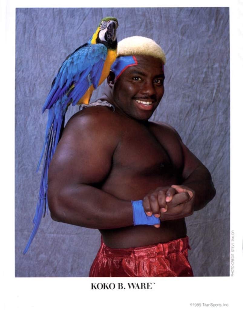 Happy Birthday To Koko B. Ware! | Wrestling Amino